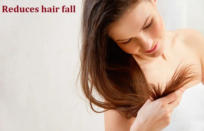 Wholesale Jojoba Carrier Oil With Free Sample