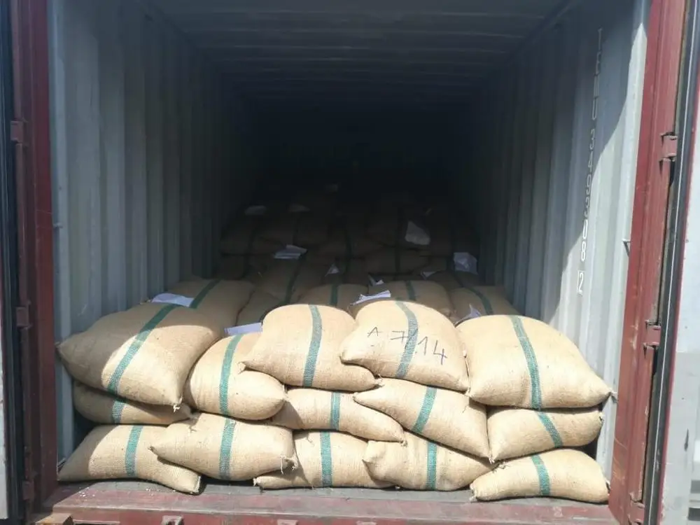 Зеленые кофейные зерна Robusta