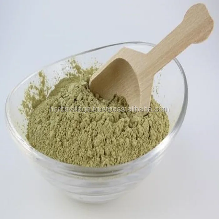GMP ISO certified manufacturer Aloe Vera Extract Powder 100x Best Price India