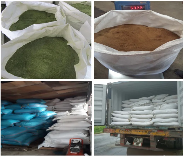 Порошок водорослей из натуральных водорослей/улва лактука Вьетнама/мисс Мэй (+ 84 904183651)