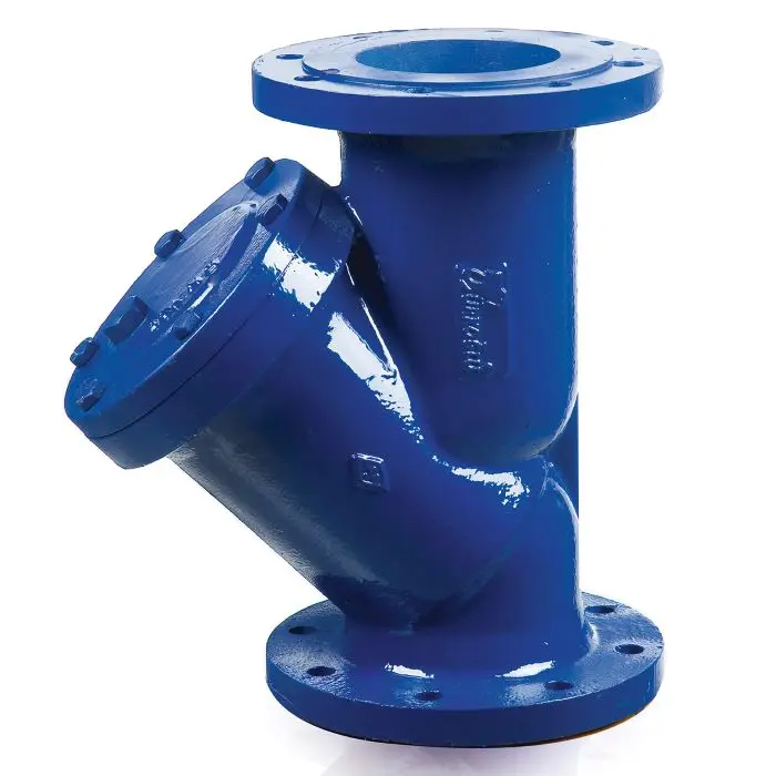 
DN100 Y-Strainer (Filter) 
