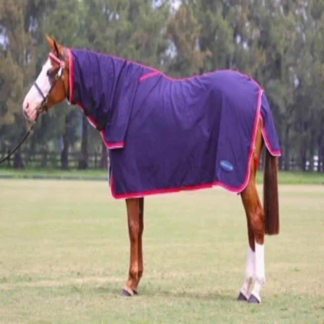 Wholesale Summer cotton Horse Rugs Heavy Strong Duty Real Indian cotton For Sale