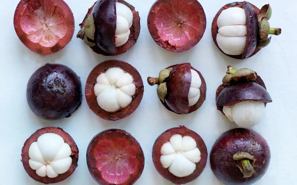 WHOLESALE VIETNAM FRESH MANGOSTEEN FOR IMPORTERS / WHATSAPP +84 845 639 639