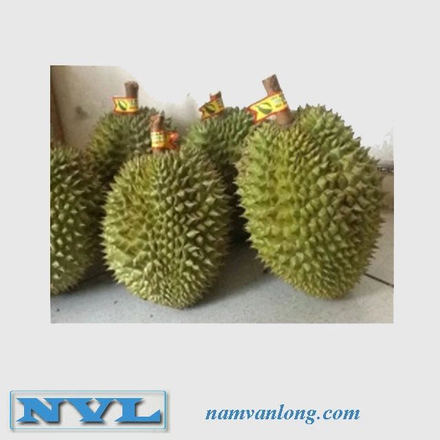 FRESH DURIAN at HIGH QUALITY & THE BEST PRICE.