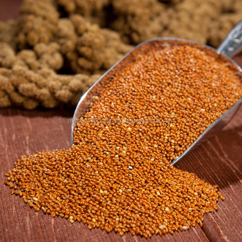 
NEW CROP RED MILLET ORIGIN INDIA NIK-MAY EXPORTS 