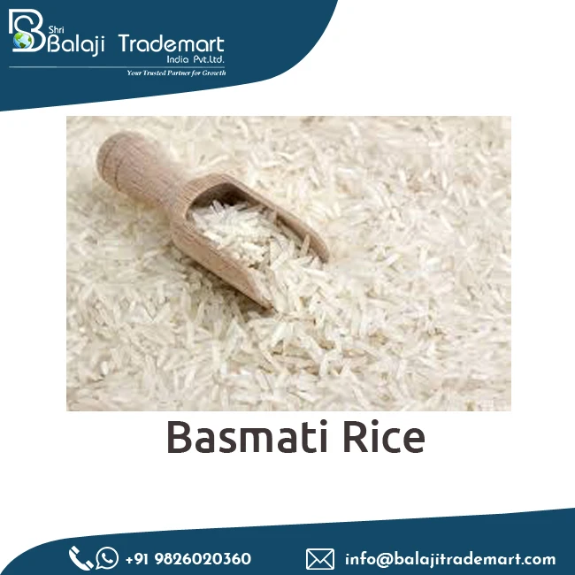 Authentic Quality Natural Polished Basmati Rice indian non basmati rice 1121 white sella basmati rice from Top Supplier