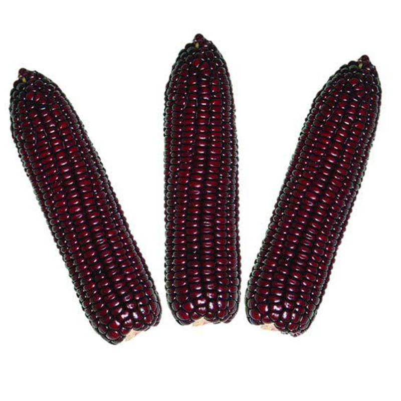 Purple Corn powder from Peru