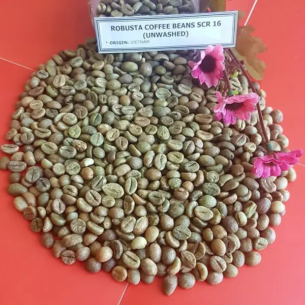 Кофейные Зеленые зерна 100% Robusta S13/S16/S18 0084974565715