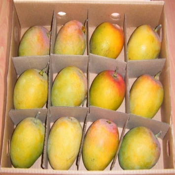 
Alphonso Fresh Mangos  (62006482419)
