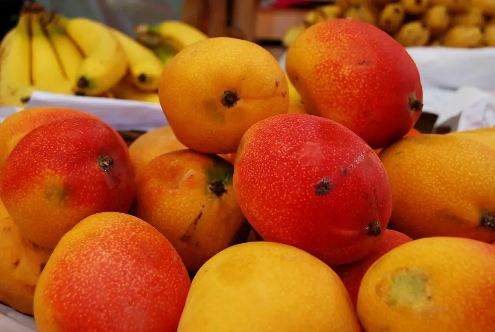 
Organic Fresh Mangos Available at wholesale prices 