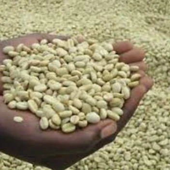 Горячая Распродажа, зеленый кофе в зернах Arabica