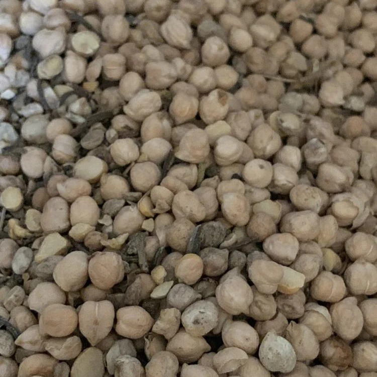 Wholesale Dried Chickpeas For Sale