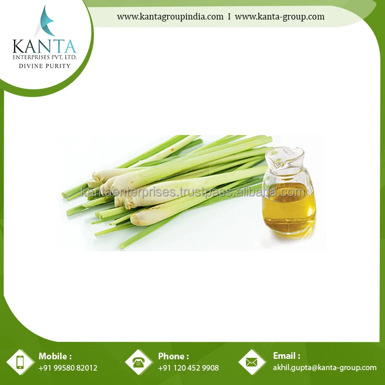 Buy Online Gingergrass Essential Oil / Ginger oil nurtures the skin for Sale Available at Cheap rates