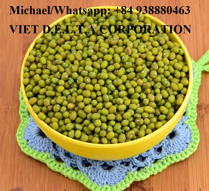 CHINESE MUNG BEAN/GREEN GRAM/whatsapp: +84 845 639 639