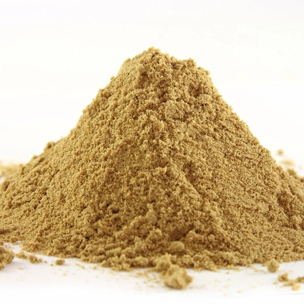 HIGH QUALITY VIETNAM GINGER POWDER FOR SPICES AND SEASONINGS
