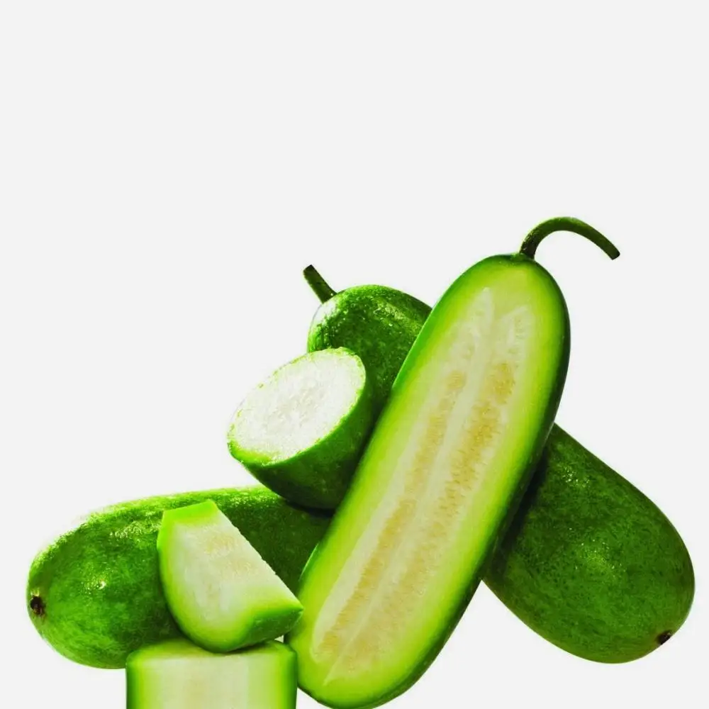 
HIGH QUALITY FRESH WINTER MELON in 2020 