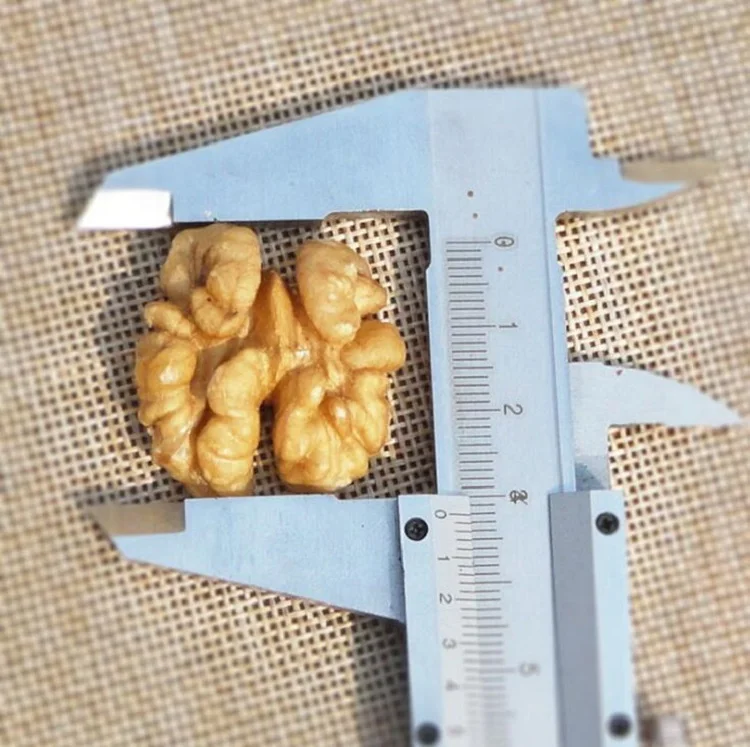 Walnut Shell Halves Walnut Kernel Light Halves Walnut Halves