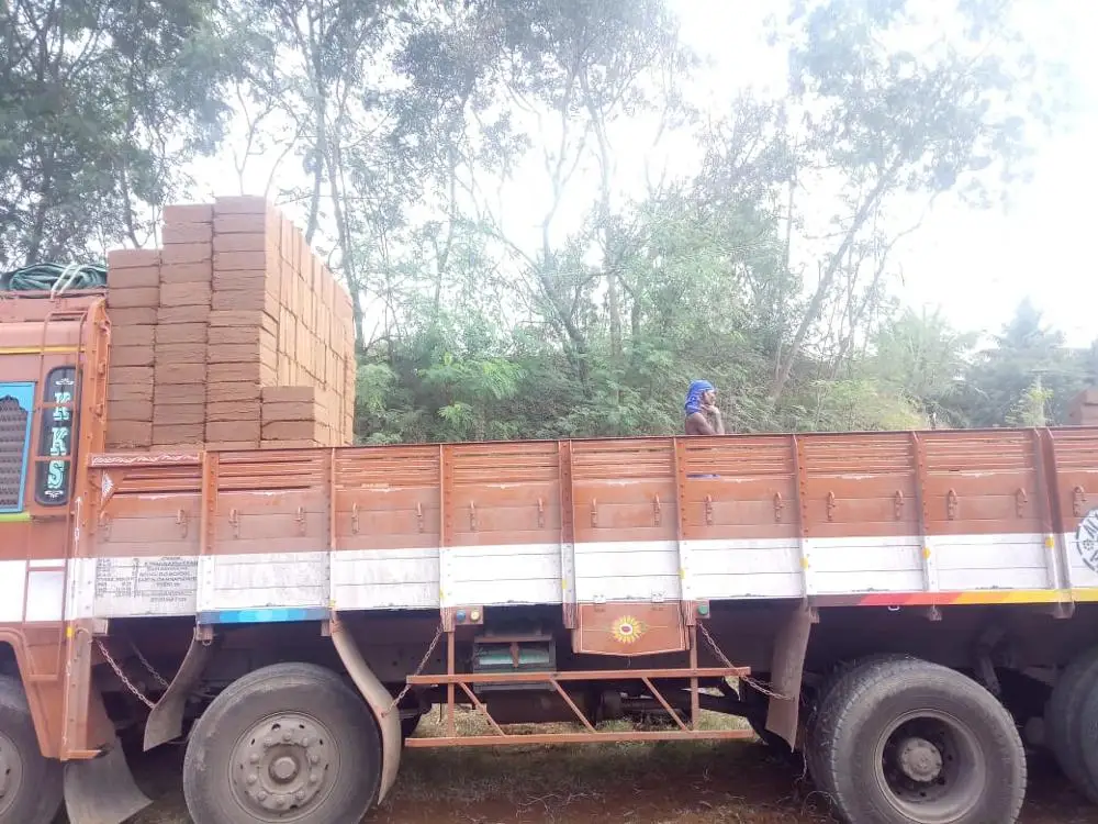 coco peat fertilizer / Powder