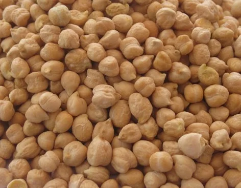 Нут Kabuli (фасоль гарбанзо)