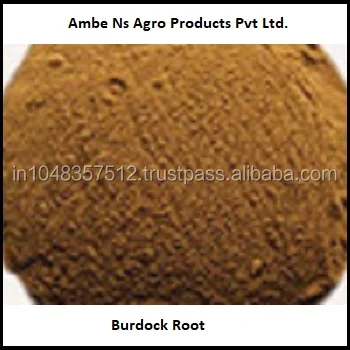 Hot Sale Burdock Root Extract For India Best supplier