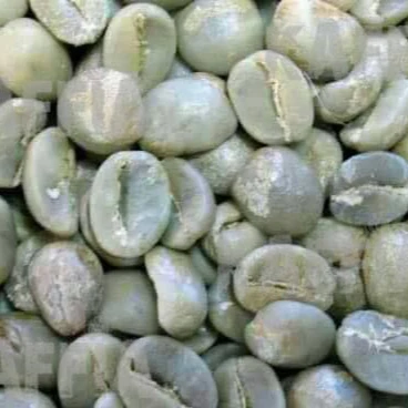 
Organic Arabica Coffee Bean 