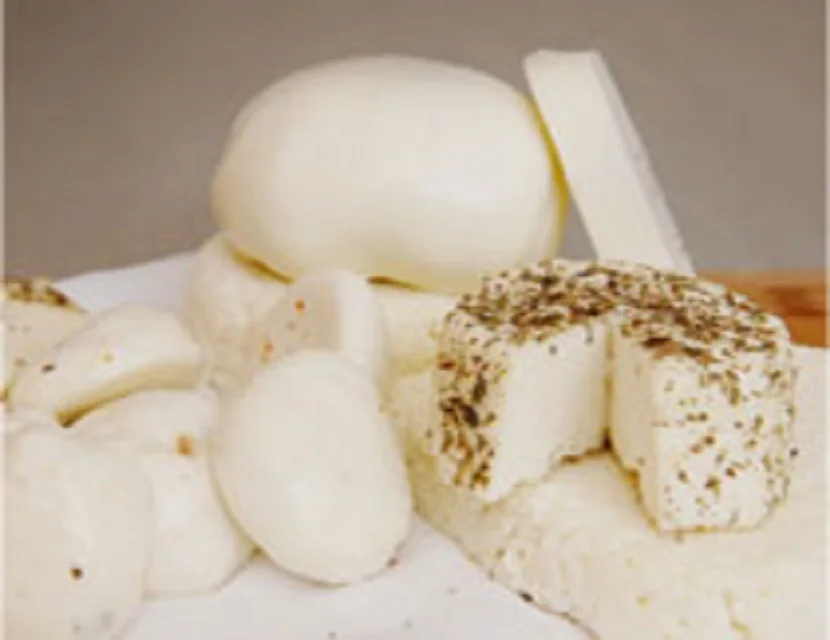 Свежий сыр индивидуального размера с пастеризированным бычьим молоком