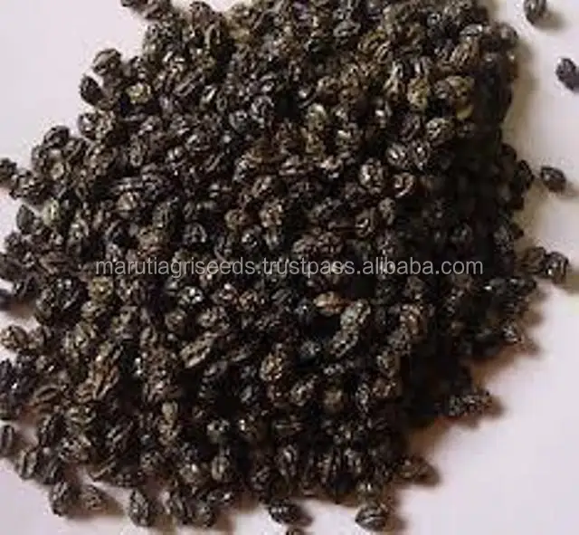 
99% Germination Rate Fruit Plant Papaya Seeds 