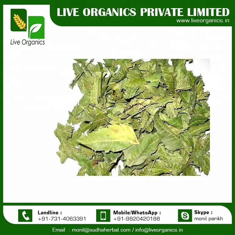 Organic Neem Leaf at Affordable Price