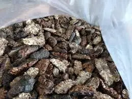NONI DRIED/ DRY FRUIT/VIETNAM