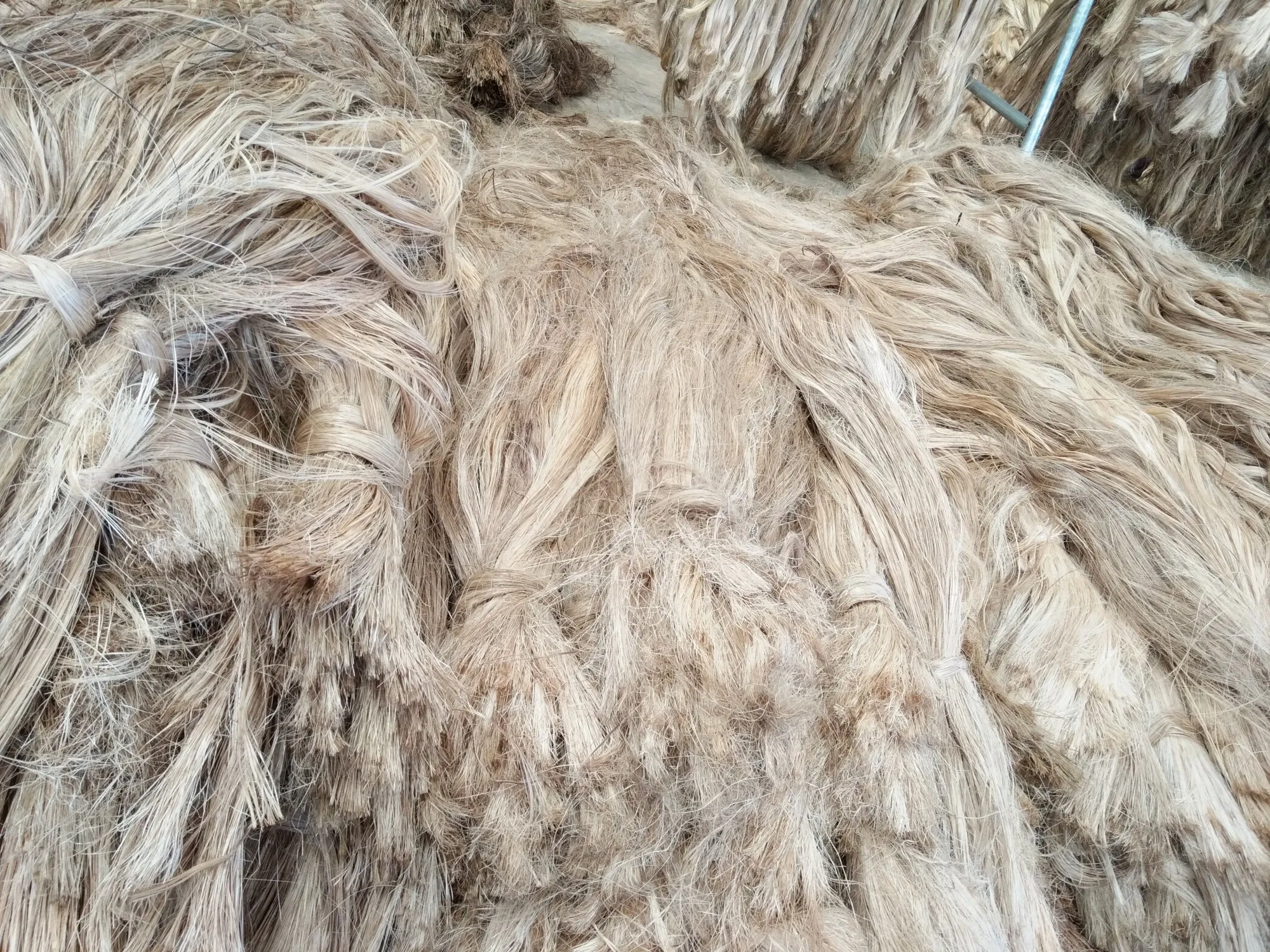 I grade philippine abaca hemp yarn abaca fiber raw nature fiber for abaca paper pulp material handmade paper