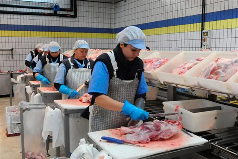 Недорогой полностью халяльный замороженный куриный поставщик, халяльный куриный жир