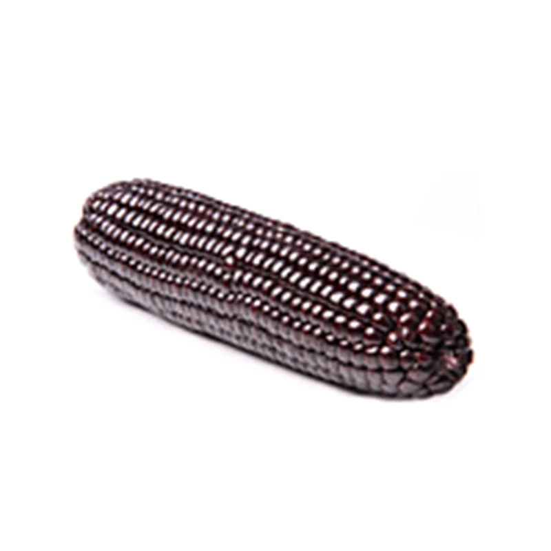 Purple Corn powder from Peru