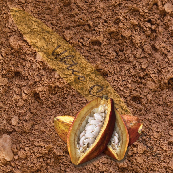 
Cacao XP Criollo Cacao Powder Organic 