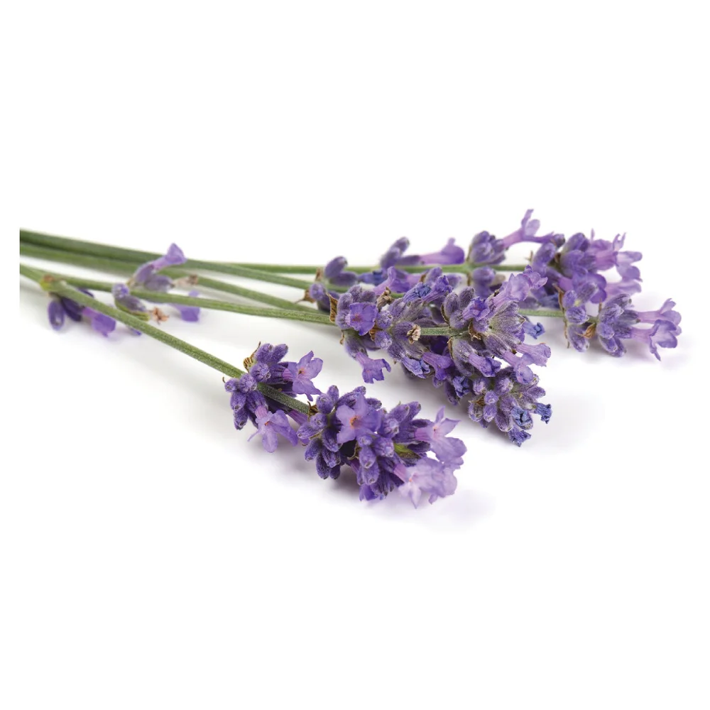 Lavender Hydrosol (Floral Water)