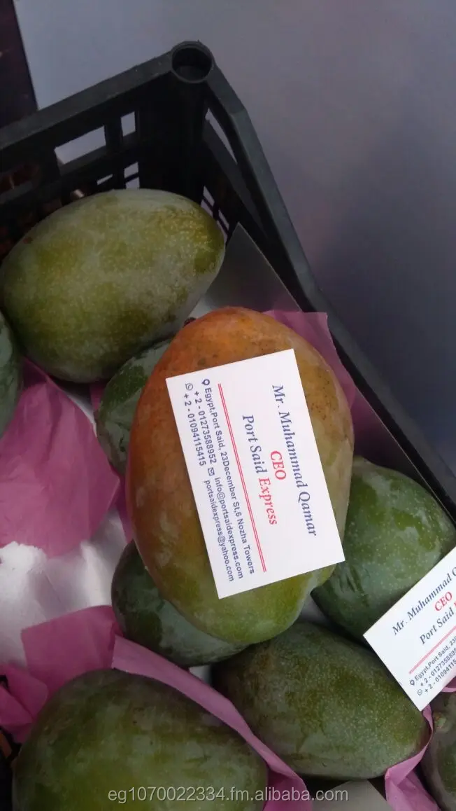 fresh mango ready export to Vietnam