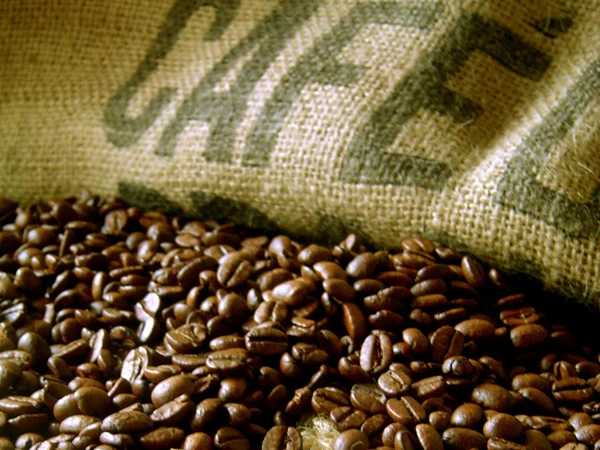 
Brazil Nice Quality Roasted Arabica Coffee Bean 