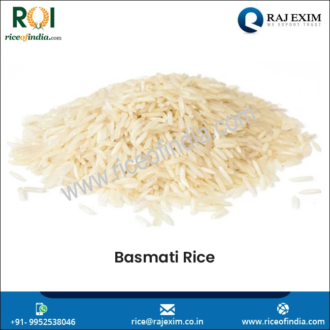 
Bulk Supply Indian White Basmati Rice 1121 at Reasonable Price 