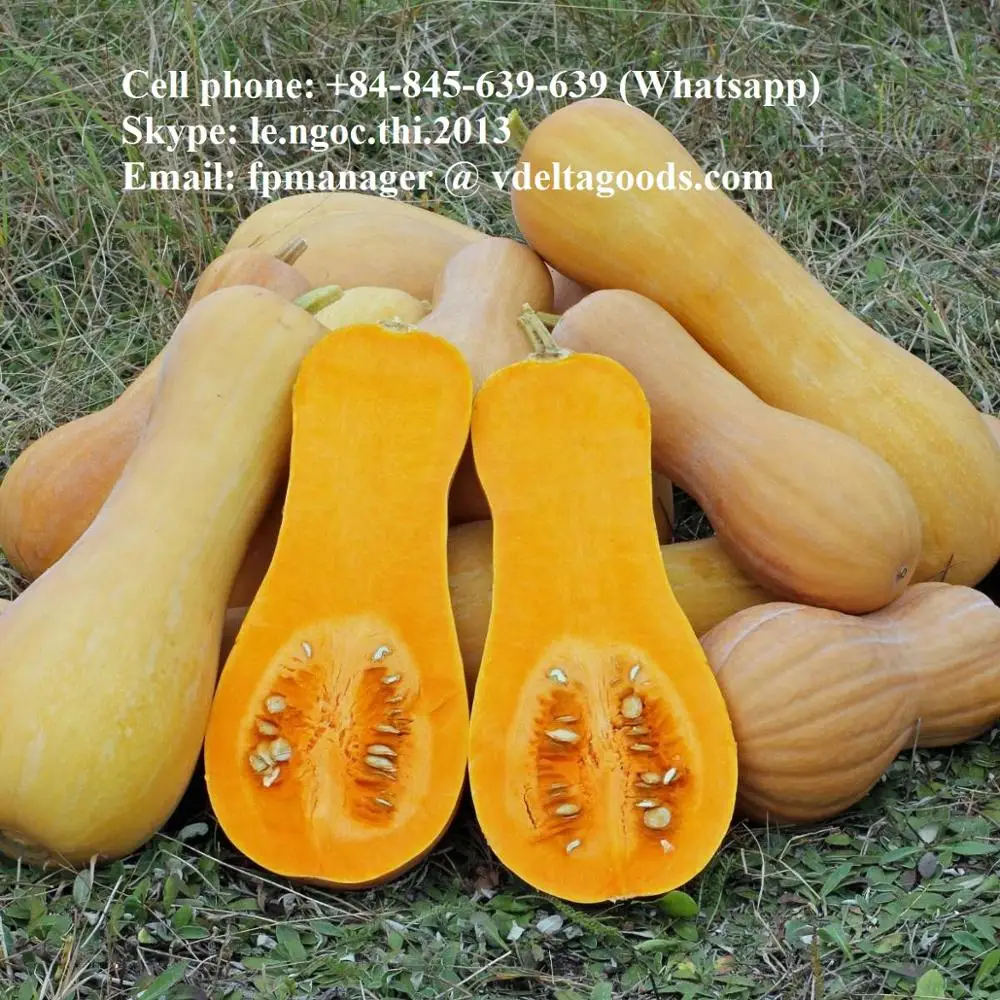 Frozen pumpkin Global Gap in Viet Nam whatsapp