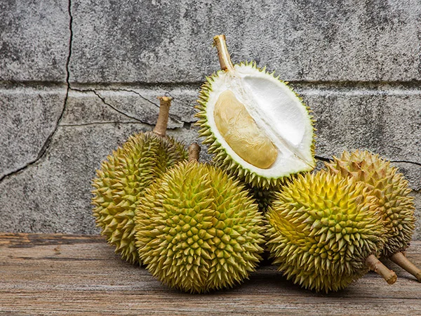 
HIGH QUALITY FRESH DURIAN FROM VIETNAM / Ms. Shyn Tran +84382089109 