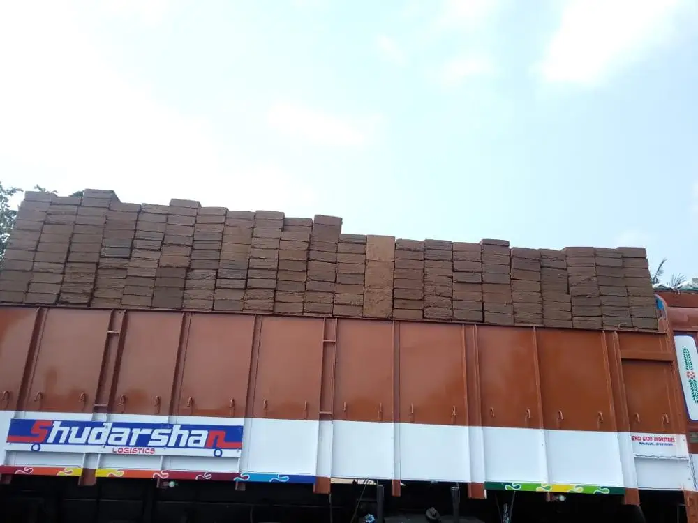 coco peat fertilizer / Powder