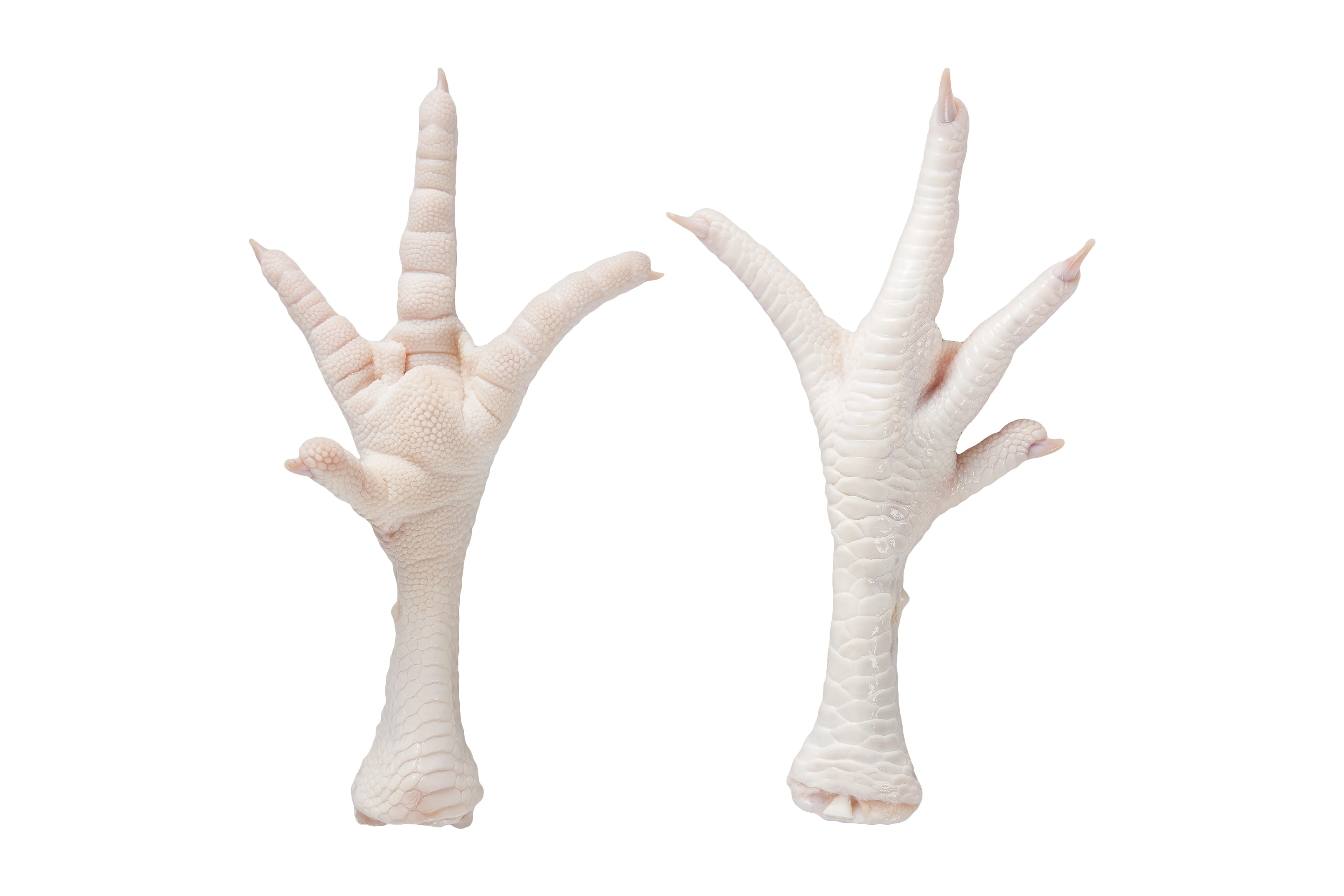 CLEAN A GRADE CHICKEN FEET / FROZEN CHICKEN PAWS BRAZIL