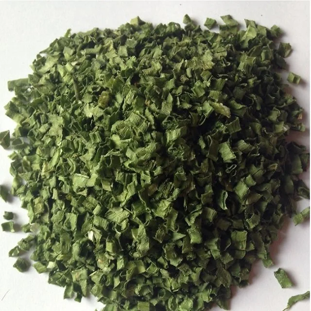 Свежий/сушеный скальльон от поставщика из