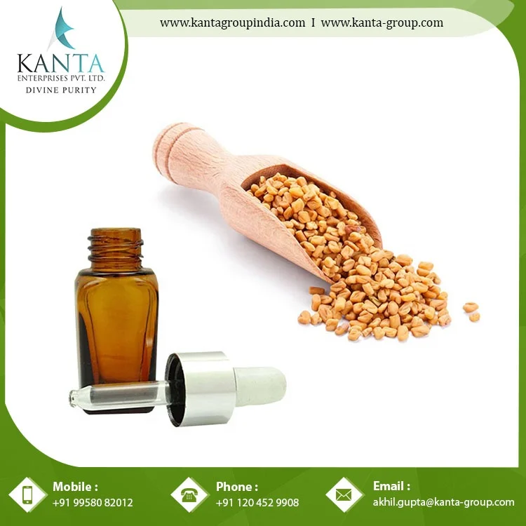 Pure Fenugreek Oil with Best Price