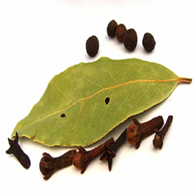 Clove Leaf Essential Oil bulk supplier with High quality at wholesale price for cosmetics perfumery Toiletries industry