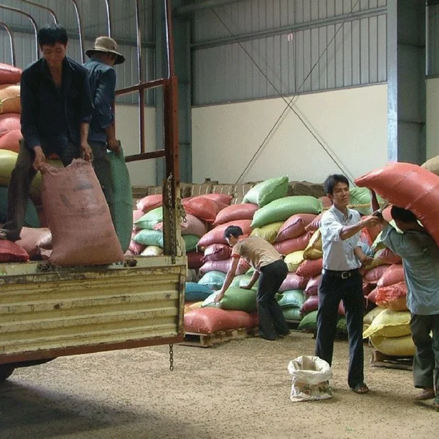 Premium Roasted Arabica / Robusta Coffee Beans - High quality green coffee bean export to EU, USA - Wholesale for coffee bean