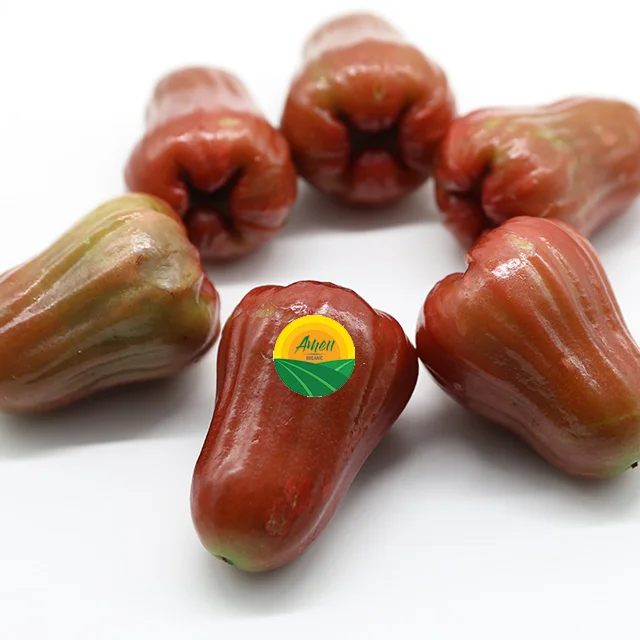 FRESH BELL PRUIT из Вьетнама