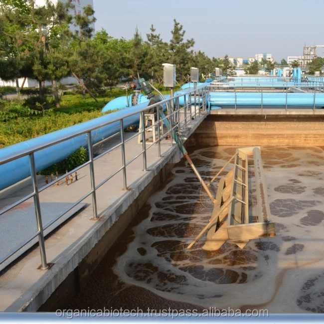 Bioaugmentation of wastewater treatment system with the help specialized microbes