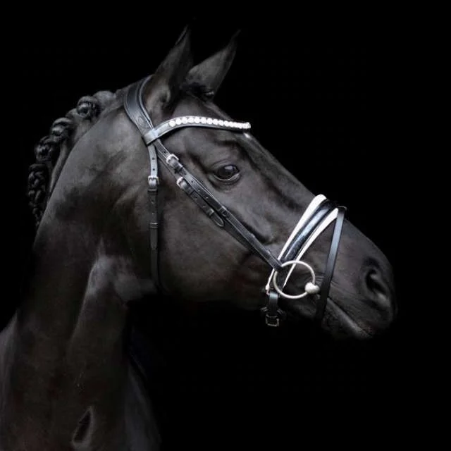 Horse CROWN MYSTERY BRIDLE IN BLACK/WHITE/GLITTER PATENT/Specification product leather bridle /Top Seller Medium Moving bridle