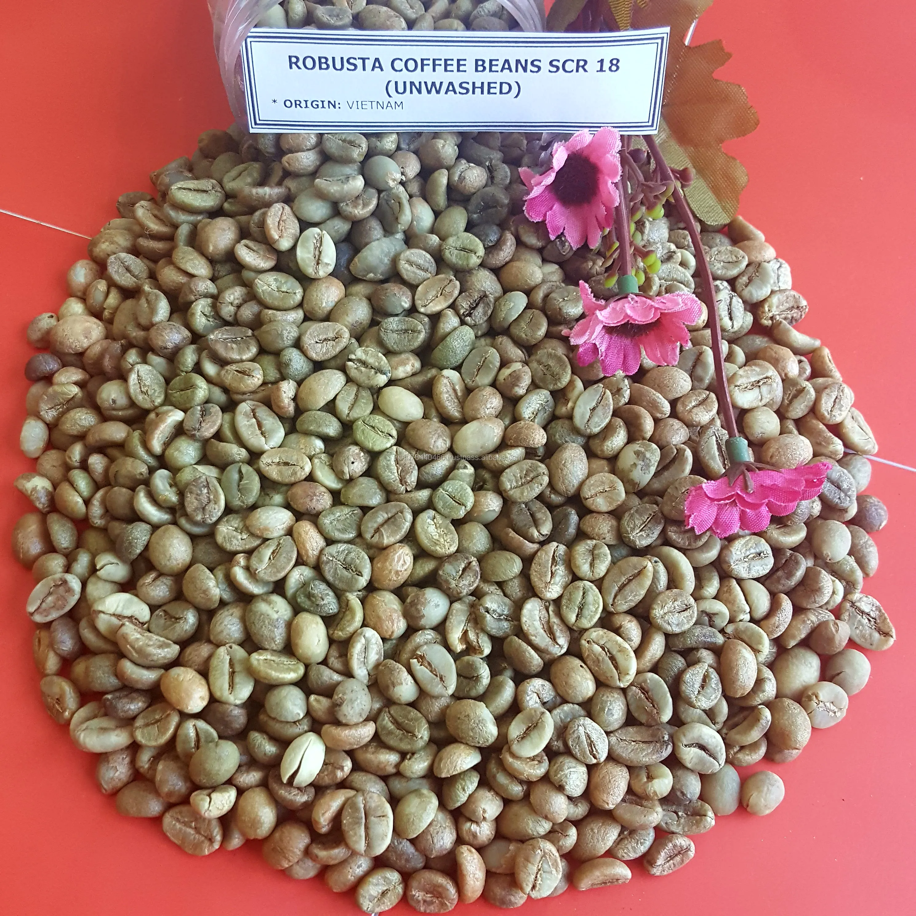 
VIETNAM HIGH QUALITY ARABICA GREEN COFFEE BEANS GOOD PRICE SCR13/ SCR16/ SCR18( +84989322607 whatsapp) 