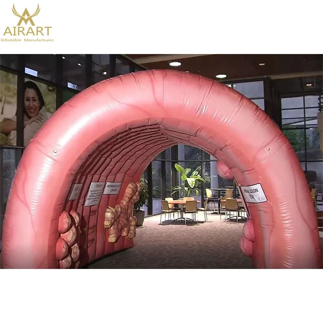 giant inflatable colon,custom inflatable organ tunnel